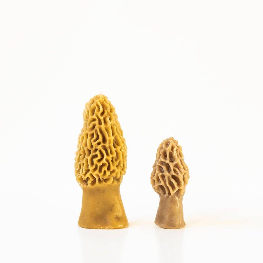 Morel Mushroom Beeswax Candle Pair