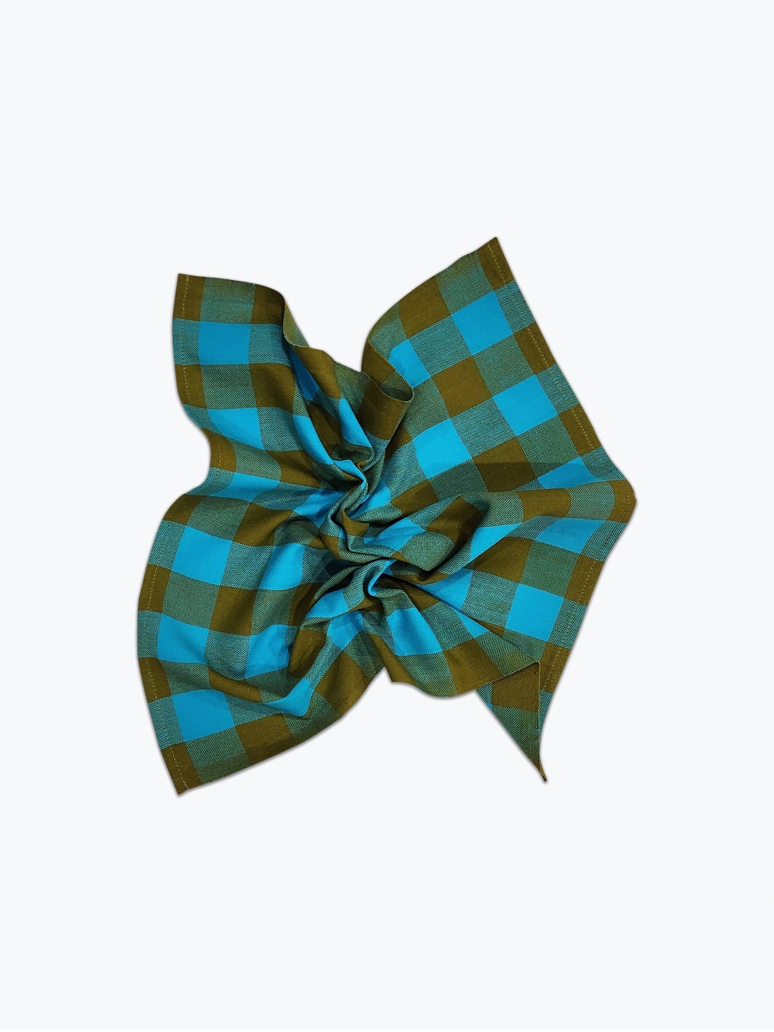 All Roads Big Gingham Napkin Pair - Pond