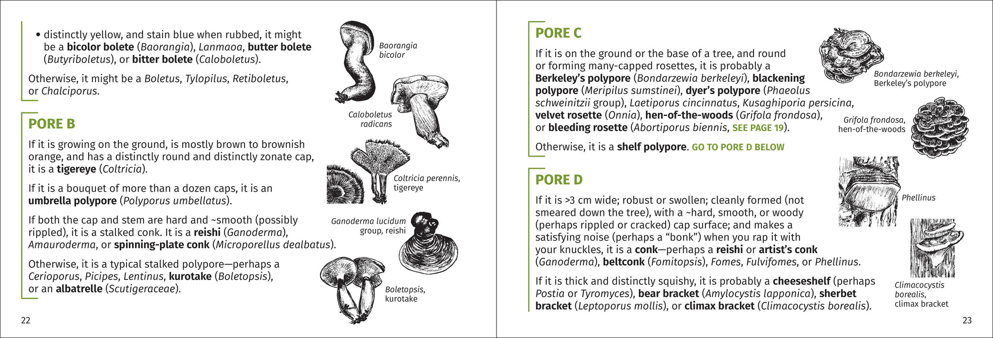 Mushroom Finder