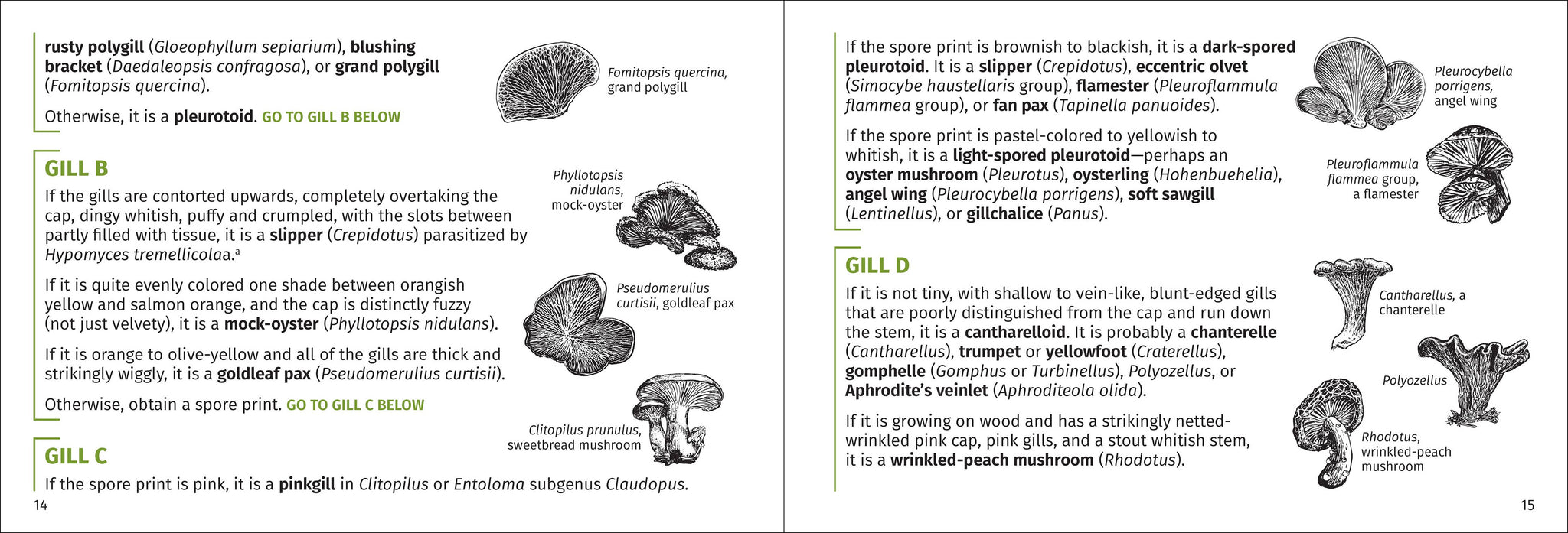 Mushroom Finder