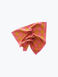 All Roads Big Gingham Napkin Pair - Grapefruit