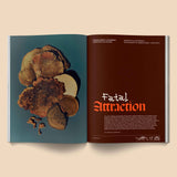 In stock: Mushroom People Magazine: Volume 2