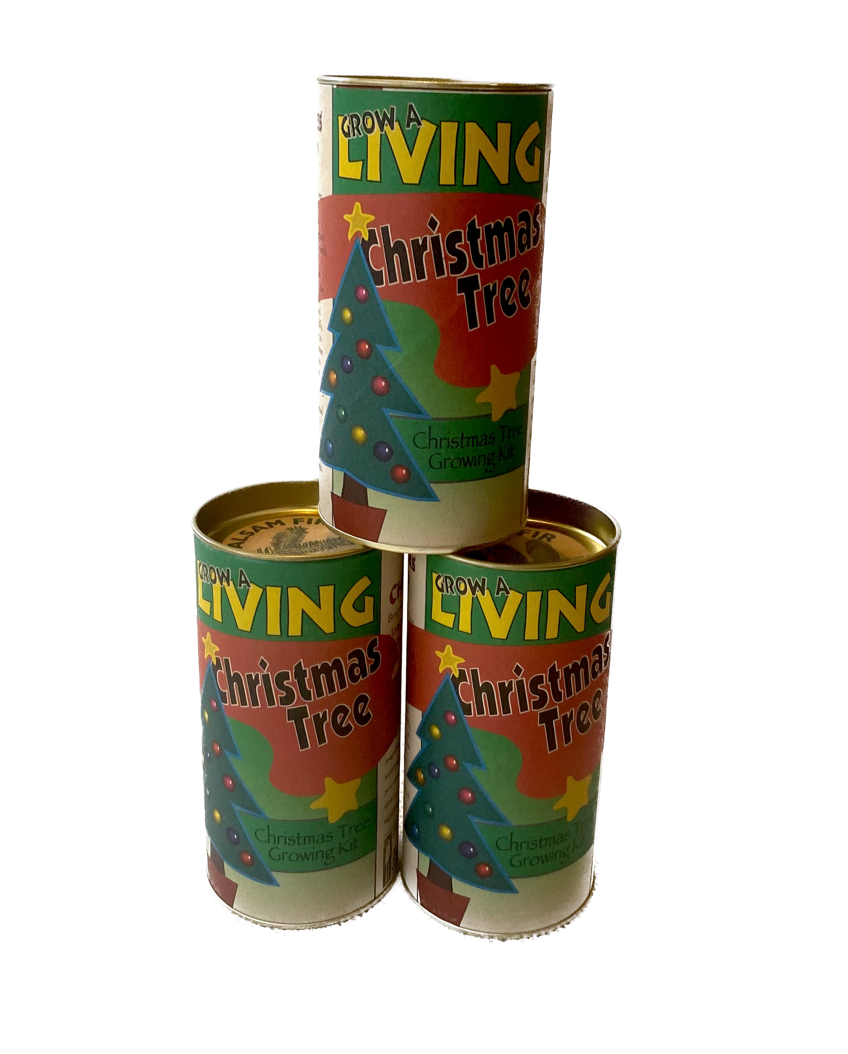 Living Christmas Tree | Seed Grow Kit