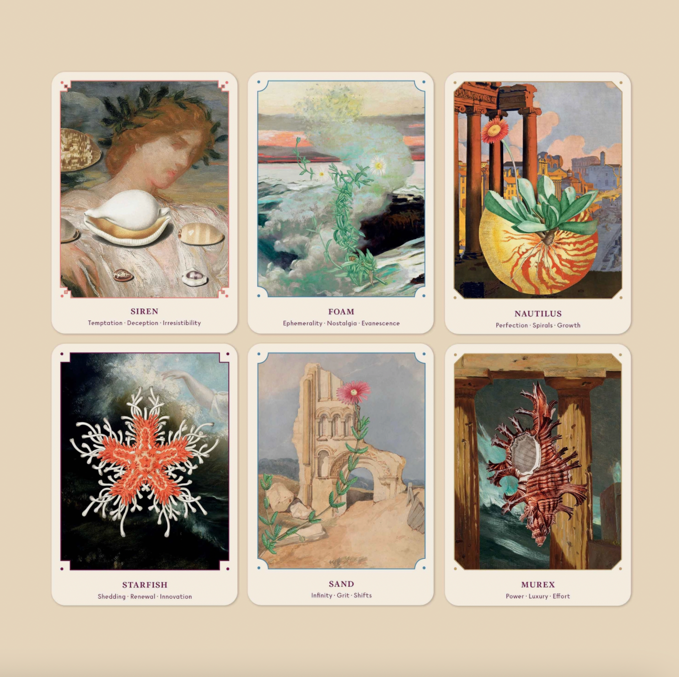 The Seashell Oracle: 44 Card Deck and Guidebook