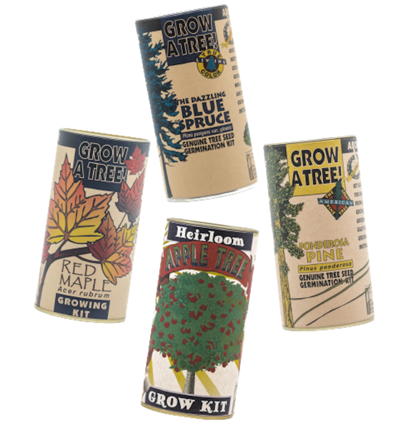 Seed Grow Kits -- Blue Spruce, Red Maple, Apple Tree, Ponderosa Pine