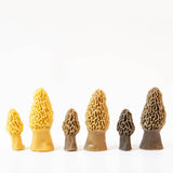Morel Mushroom Beeswax Candles