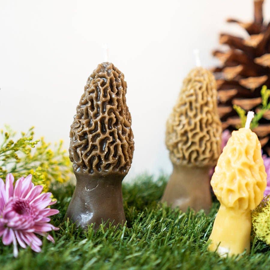 Morel Mushroom Beeswax Candle Pair