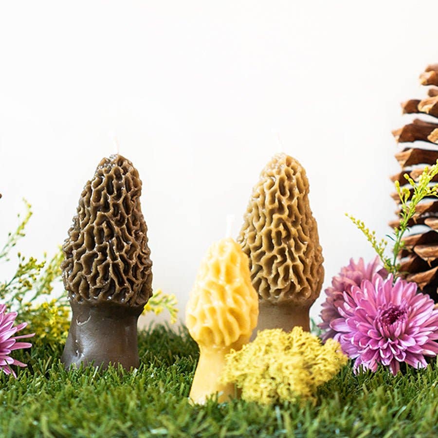 Morel Mushroom Beeswax Candle Pair