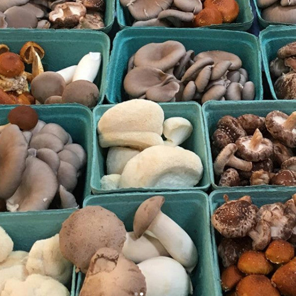 Greentopia Mushrooms