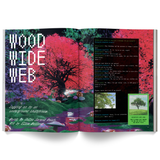 Preorder: Mushroom People