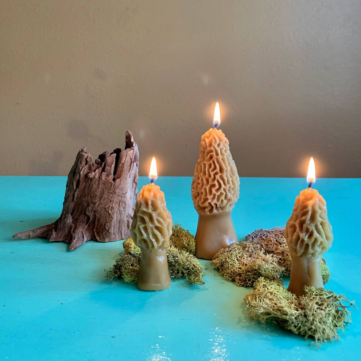 Morel Mushroom Beeswax Candle Pair