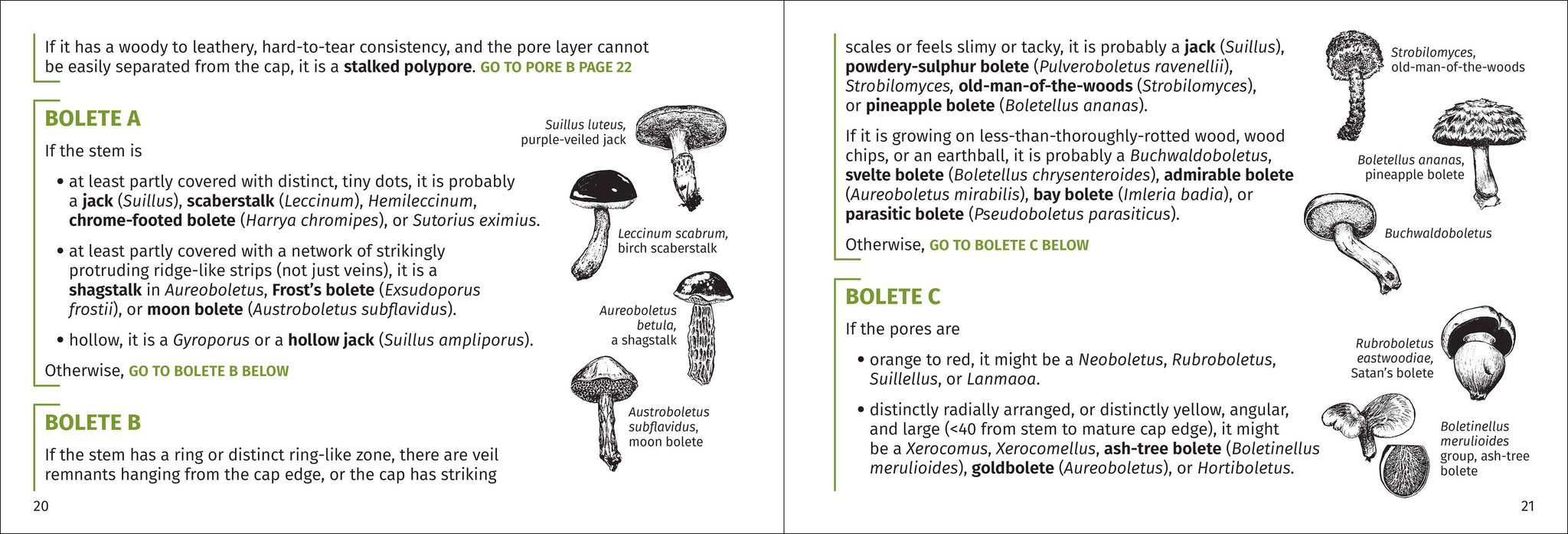 Mushroom Finder