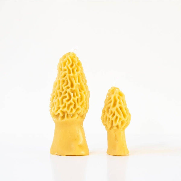 Morel Mushroom Beeswax Candles