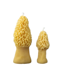 Preorder: 100% Beeswax Morel Mushroom Candles