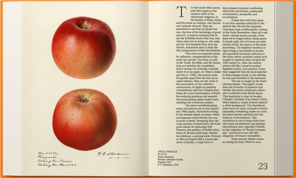 An Illustrated Catalog of American Fruits & Nuts: The US Department of Agriculture Pomological Watercolor Collection