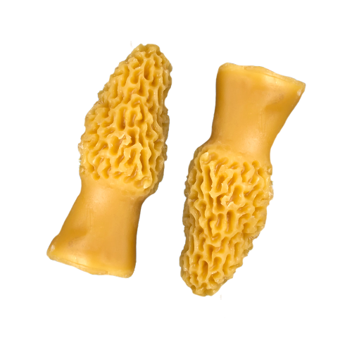 Morel Mushroom Candles (100% Beeswax)